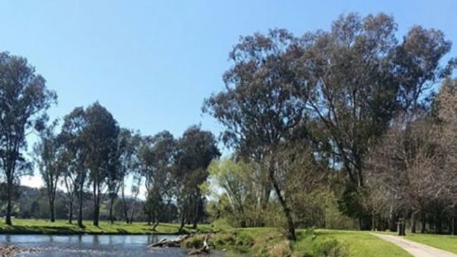 Amaroo Motel Tumuts Best Accommodation Servicios foto